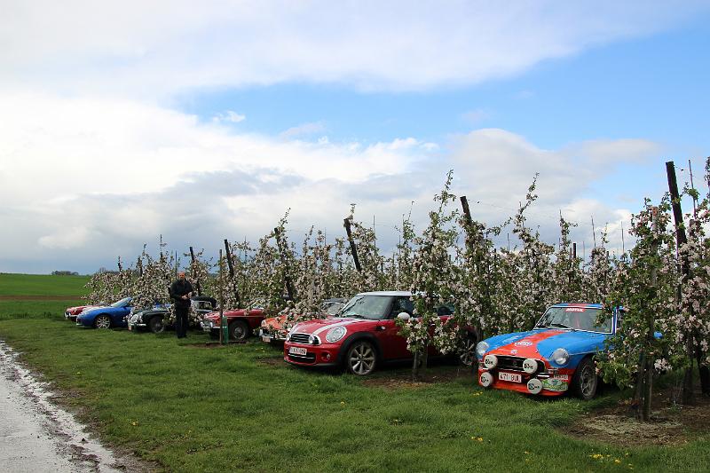 MG Bloesemrit op 24-4-2016 org. Jos&Marie-lou  (248).JPG